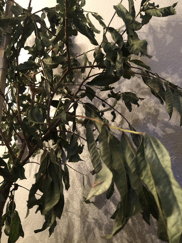 BD94B91F-53A5-4CC7-B820-3E40B994C22C