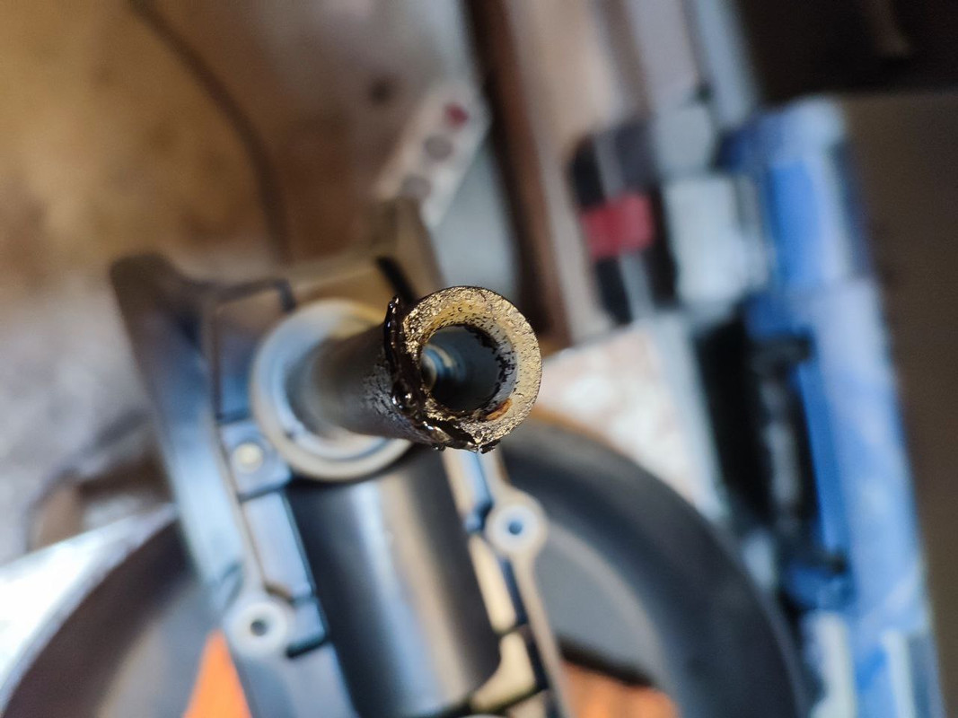 photo_2024-04-13_17-00-14 (2)