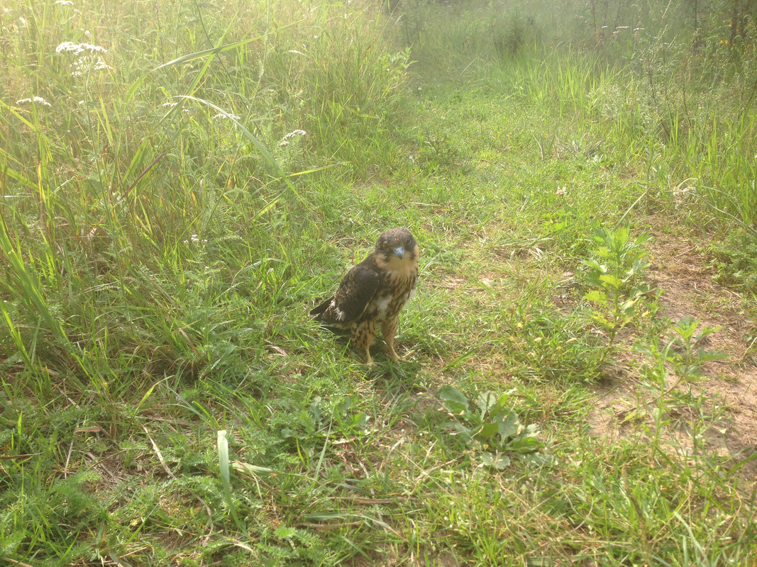 9AABD928-0E87-4DC2-A6EB-C16285CB03B8