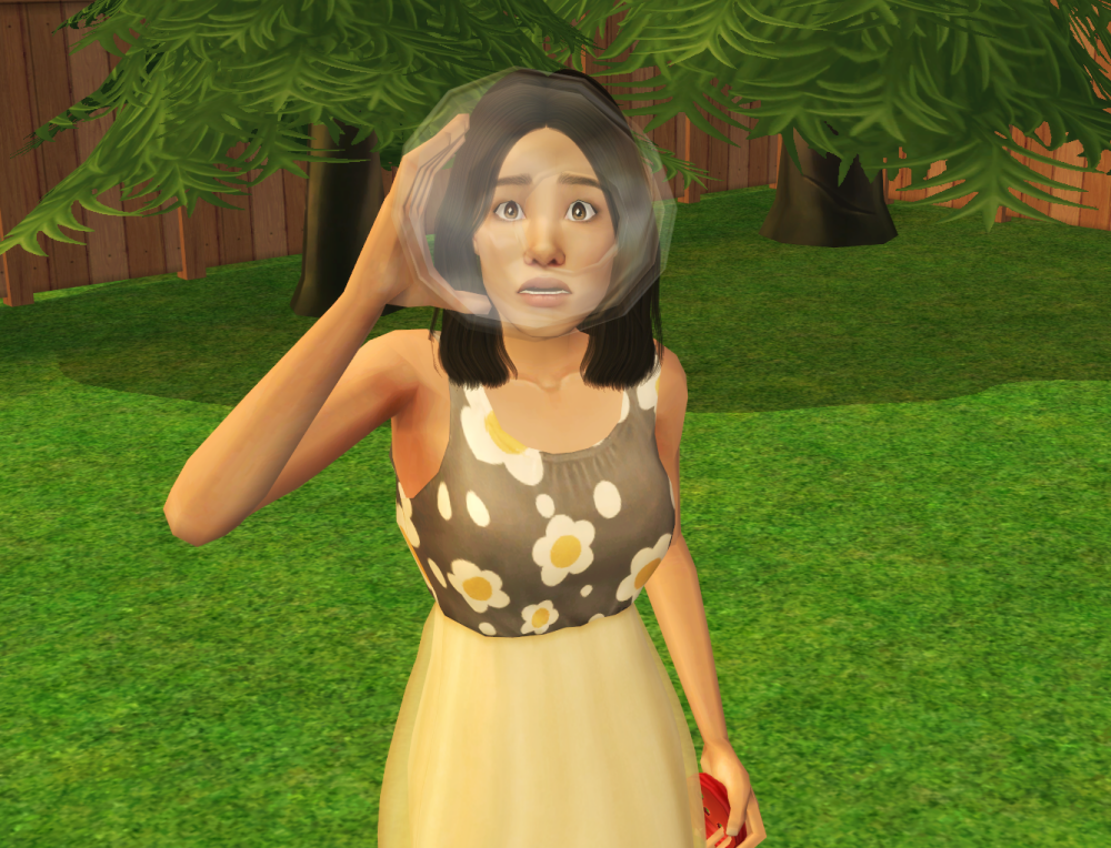 Sims2-EP9-RPC-2022-05-18-19-36-59-24