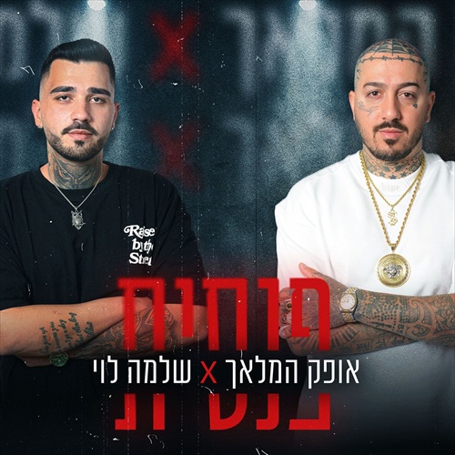 תמונה
