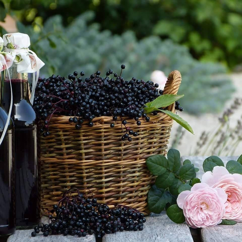 32541328_1832122417096404_2007547196815179776_n