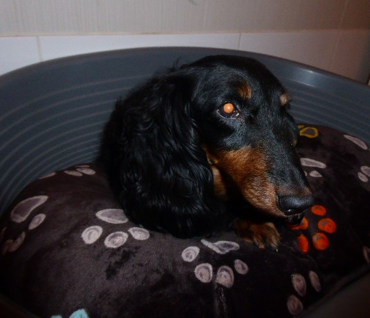 [Image: P1050740.jpg]