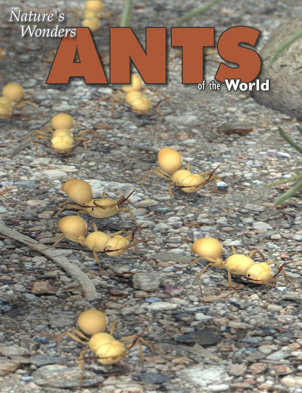11683 nature s wonders ants main