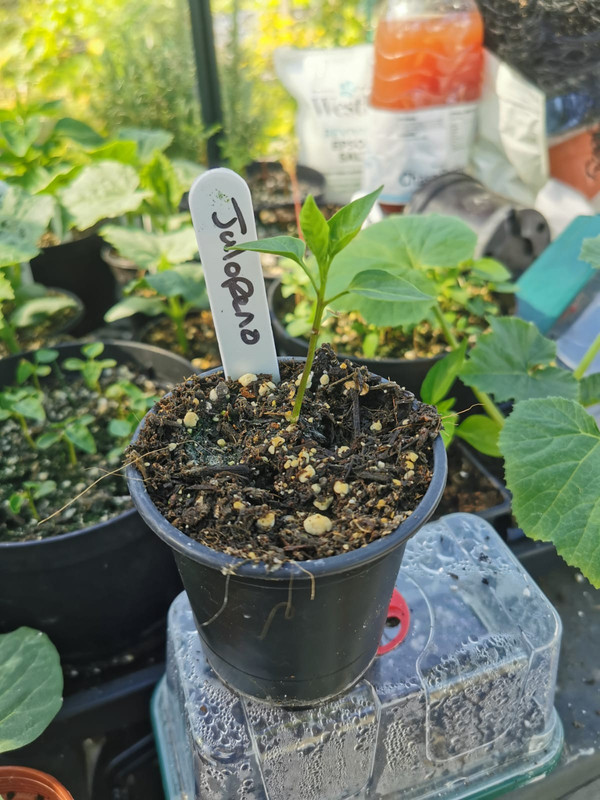 WhatsApp Image 2021-05-23 at 10.35.57 (1)