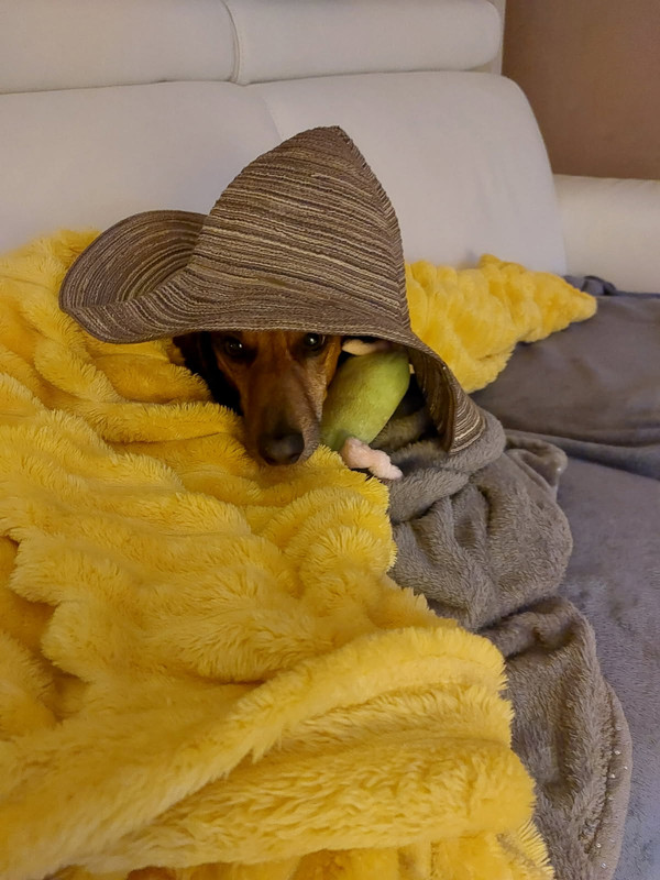 [Image: IMG-20250508-083724.jpg]