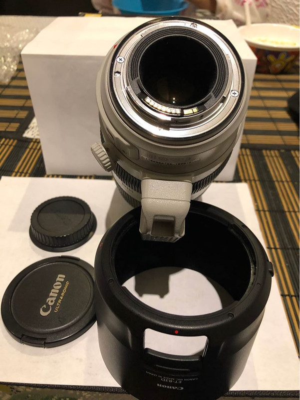 IMAGE: https://i.postimg.cc/MTZRwYLQ/106794608-851514078715996-301403404410235510-o.jpg