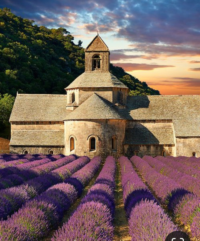 Screenshot_20240305_223941_Pinterest