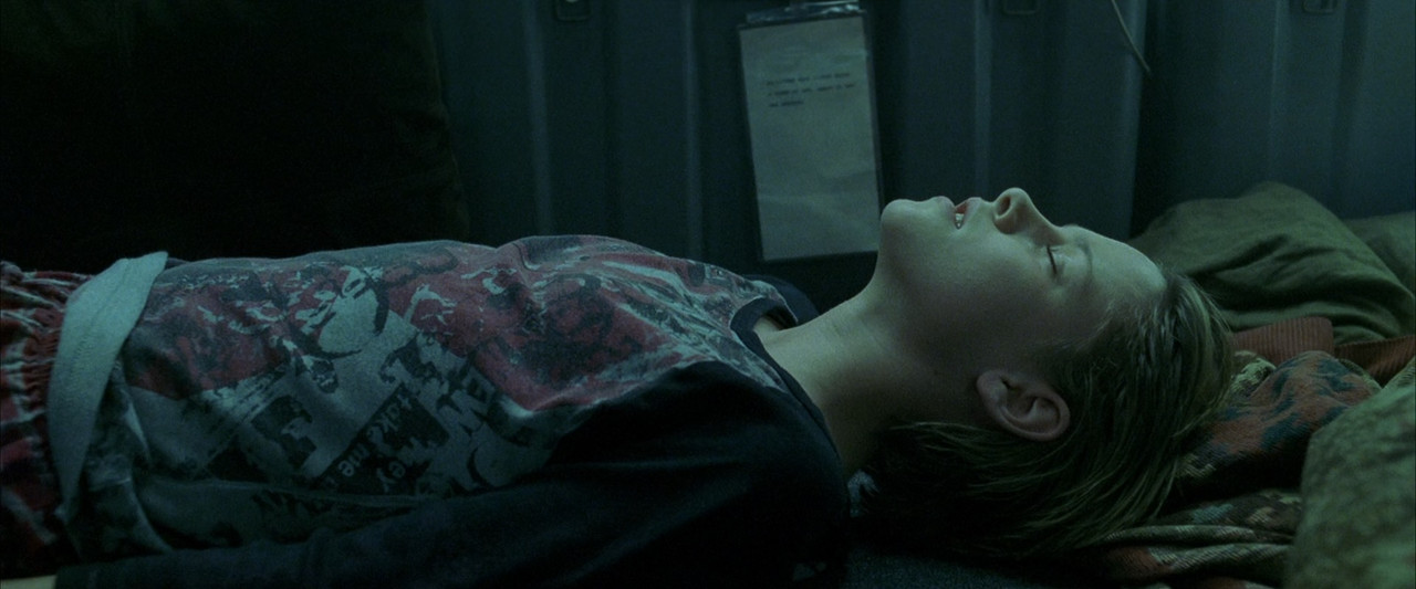 Panic Room 2002 (1080p x265 10bit Tigole).mkv_sn