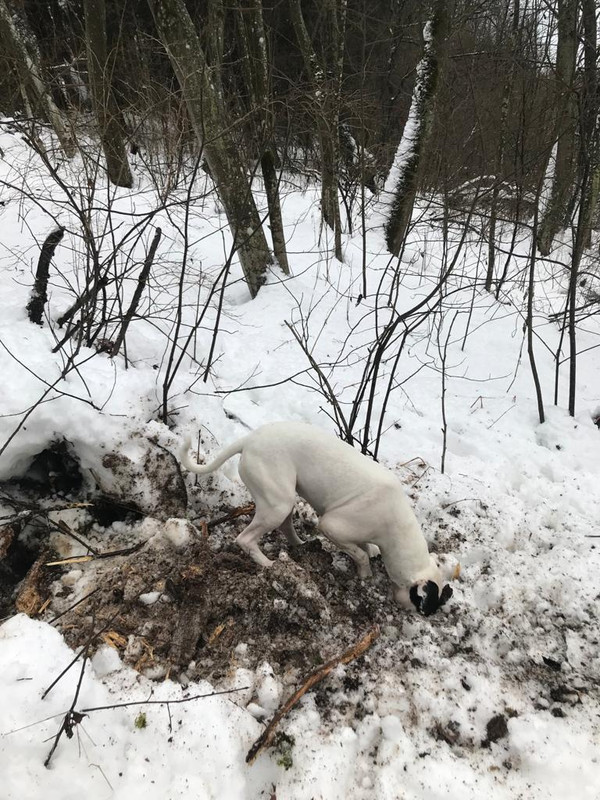 8587DD96-4832-4D7E-A670-D2611EDFF2C0