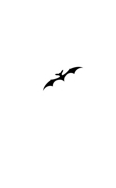 p0003