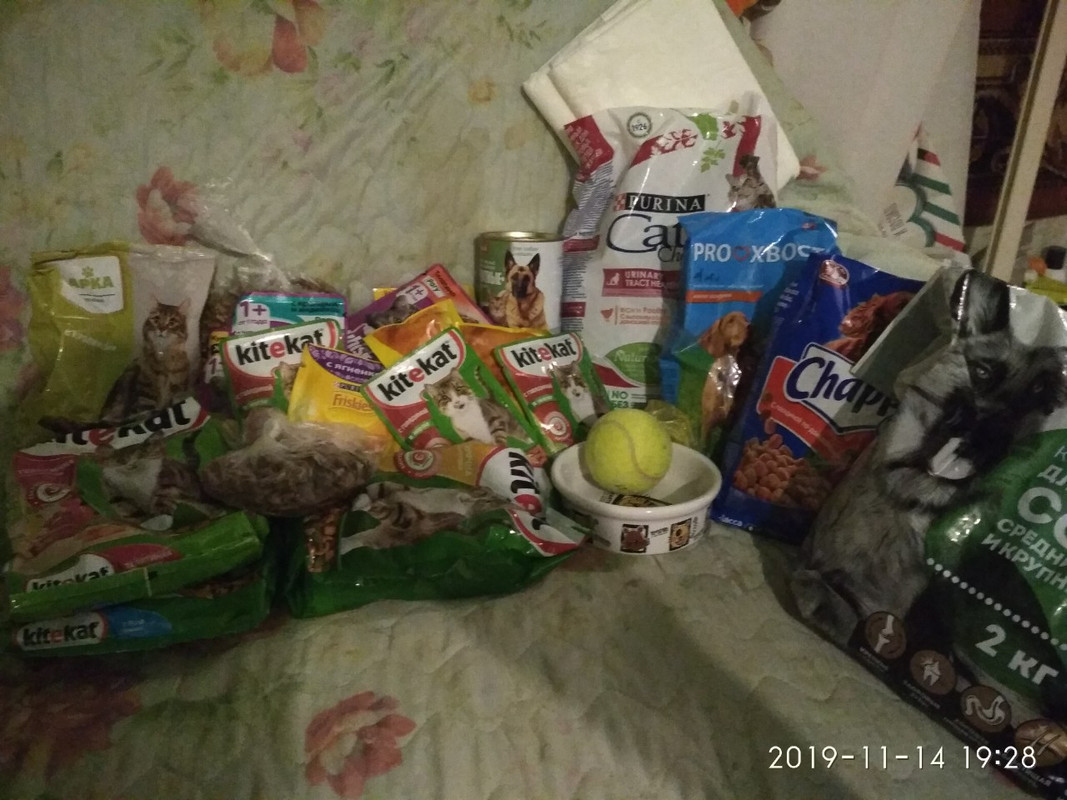 помощь через тошку