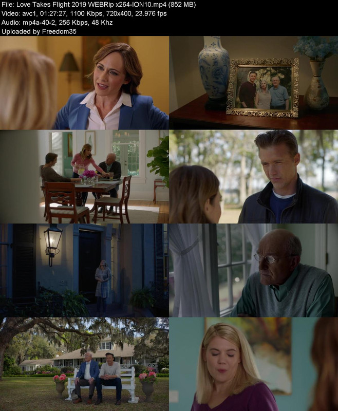 Love-Takes-Flight-2019-WEBRip-x264-ION10