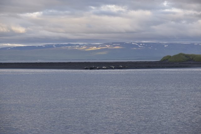 DIA 9 JULIO/22 PENINSULA DE TROLLS Y PENINSULA DE VATNSNES...y VEMOS FOCAS!!! - Islandia, 17 días..."sin sus noches" Julio 2022 (9)