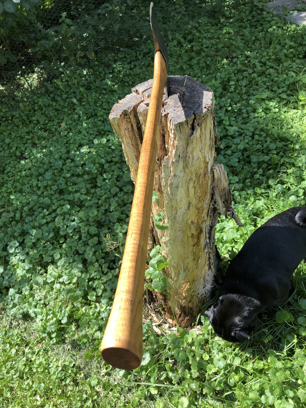 3F54438B-434A-4345-BDF7-DCEBE813B063