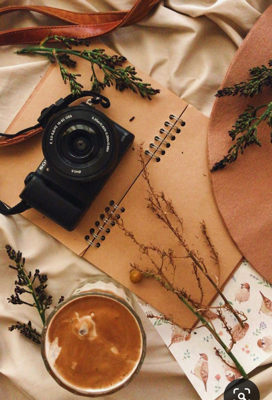 Screenshot_20230913_201018_Pinterest