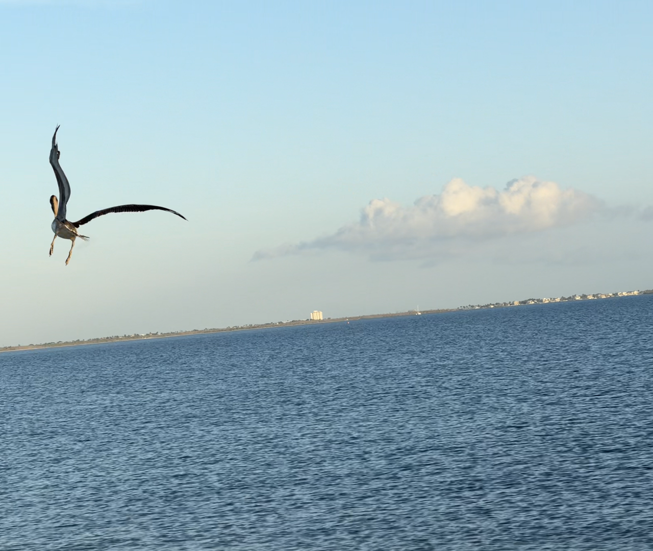 [Image: Sanibel-Island-Bridge7.png]
