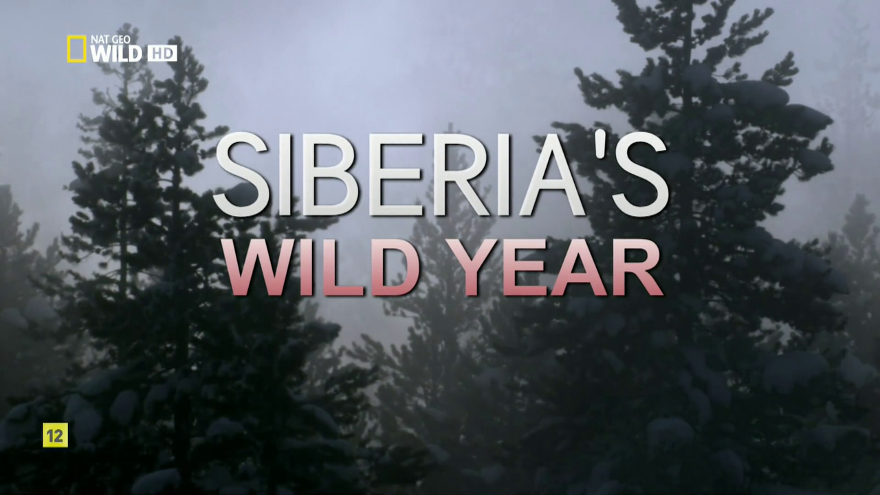 El año salvaje de Siberia (NatGeo) (2017) HDTV 1080p