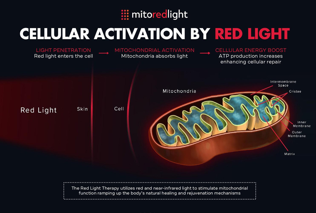 Illustration showing how red and near-infrared light penetrate different tissue depths