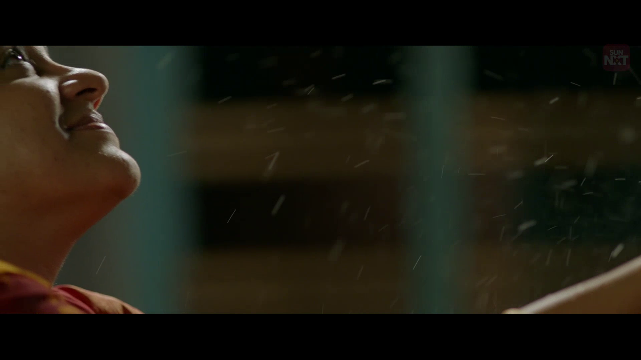 vlcsnap 2026 02 10 19h45m34s264