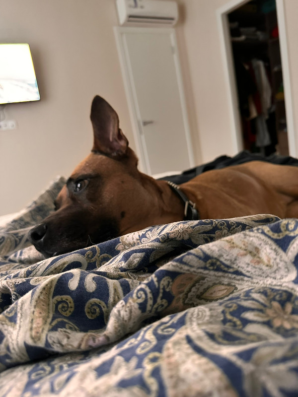 98C4FD9B-7C10-431C-884F-6D77E5A5EF2E