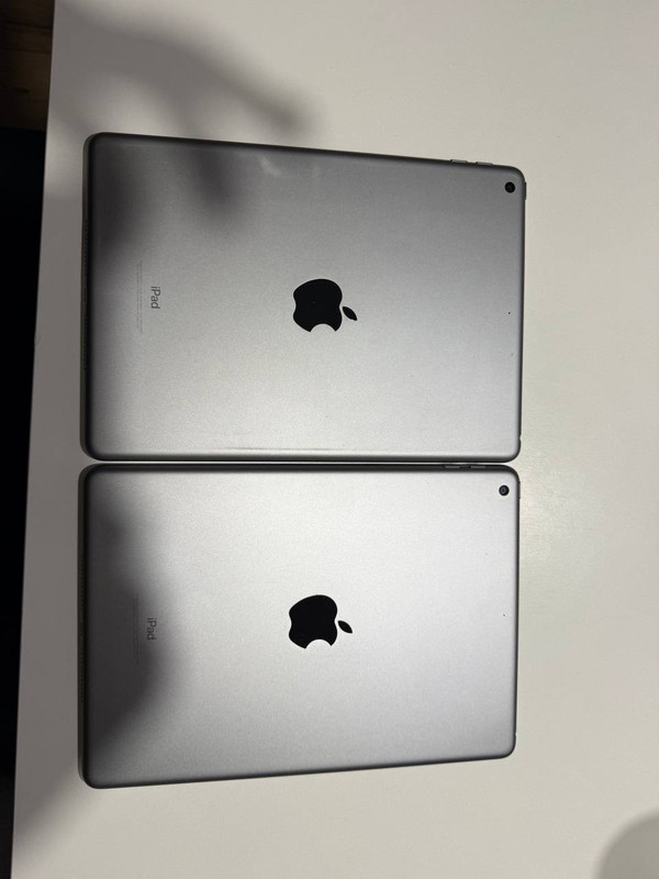 photo 2026 02 17 12 59 32