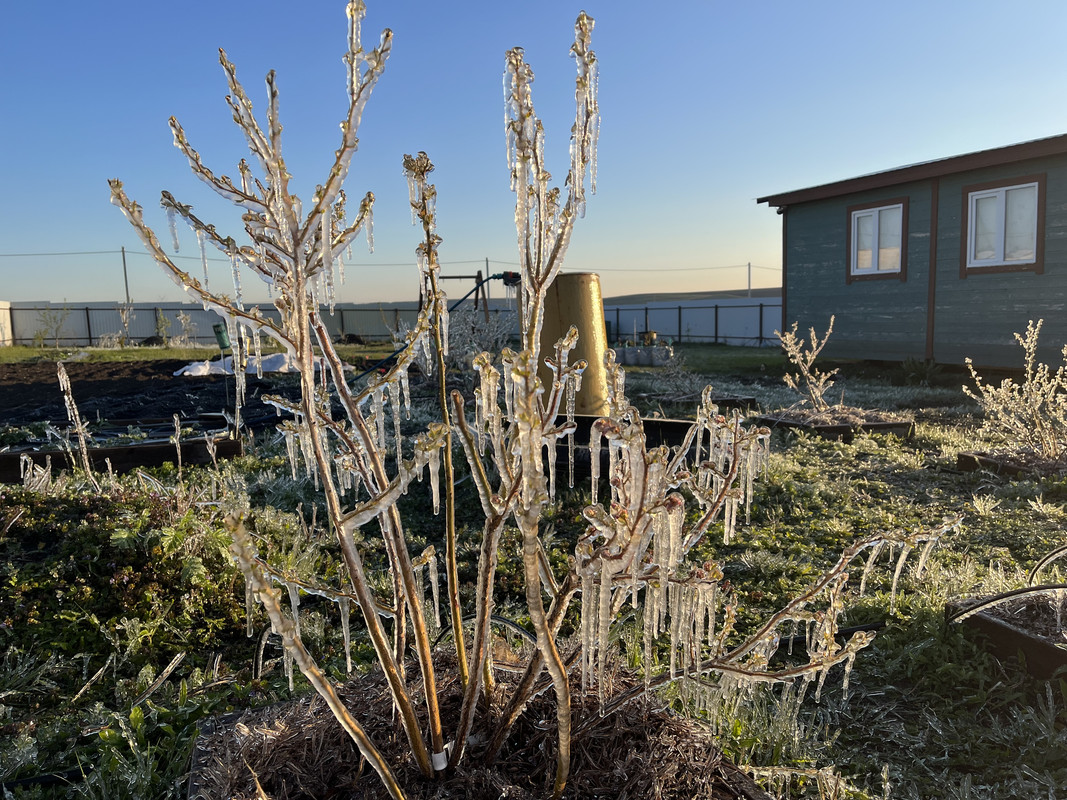 DE438CCE-9728-41AE-B73A-3B8DA8DA3DB7