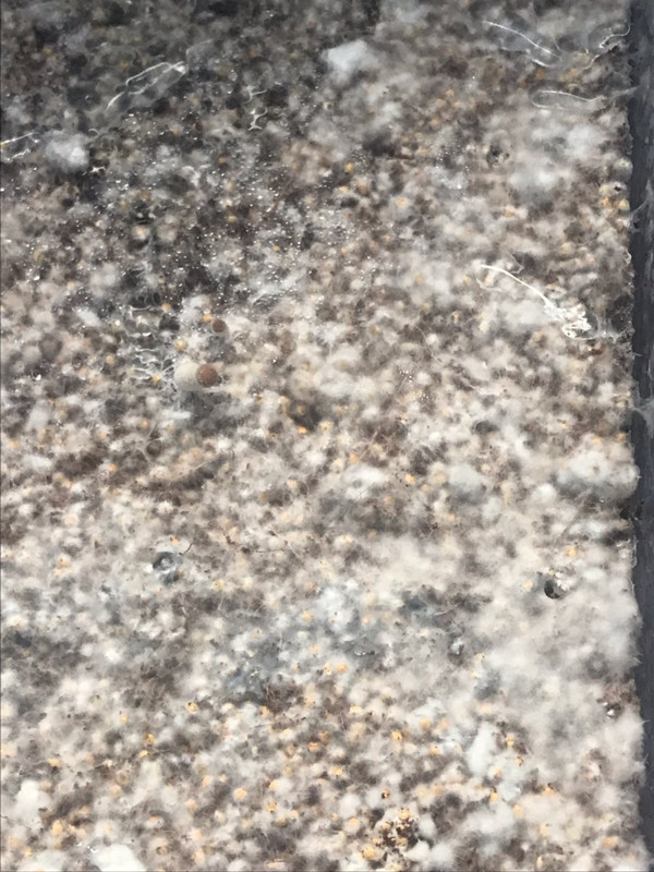 Messaging1584210941973