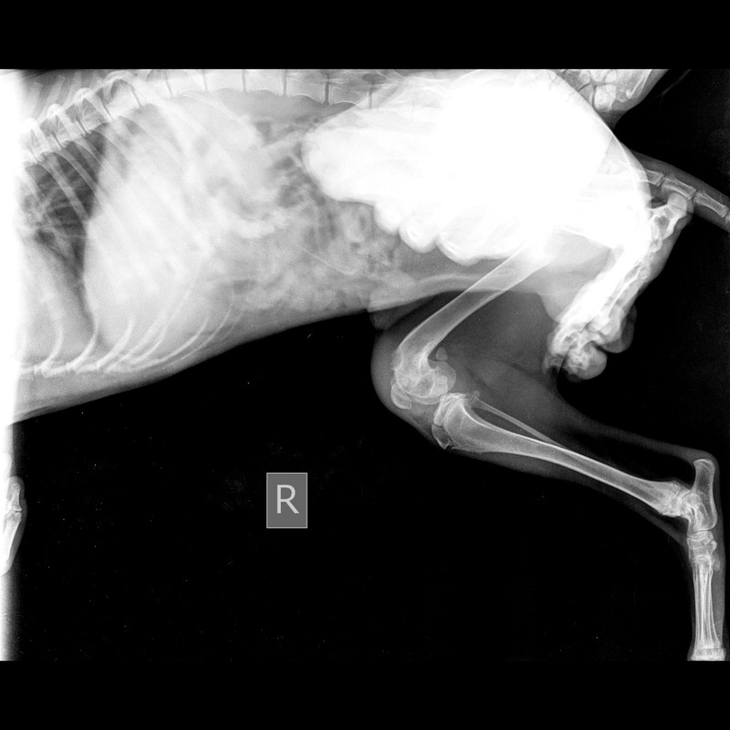 B9595D40-F6A1-46F4-A983-C54382CE9AF9