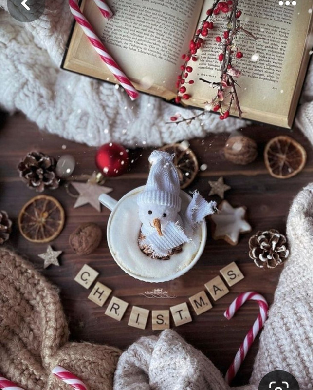 Screenshot_20240103_234446_Pinterest