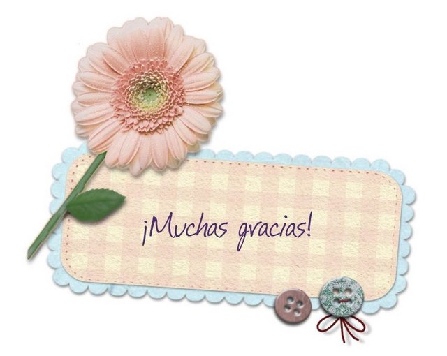 126ac1c9da25abe81ff39e42858f4a37-(2).jpg