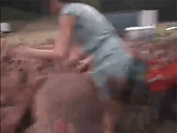 f.gif