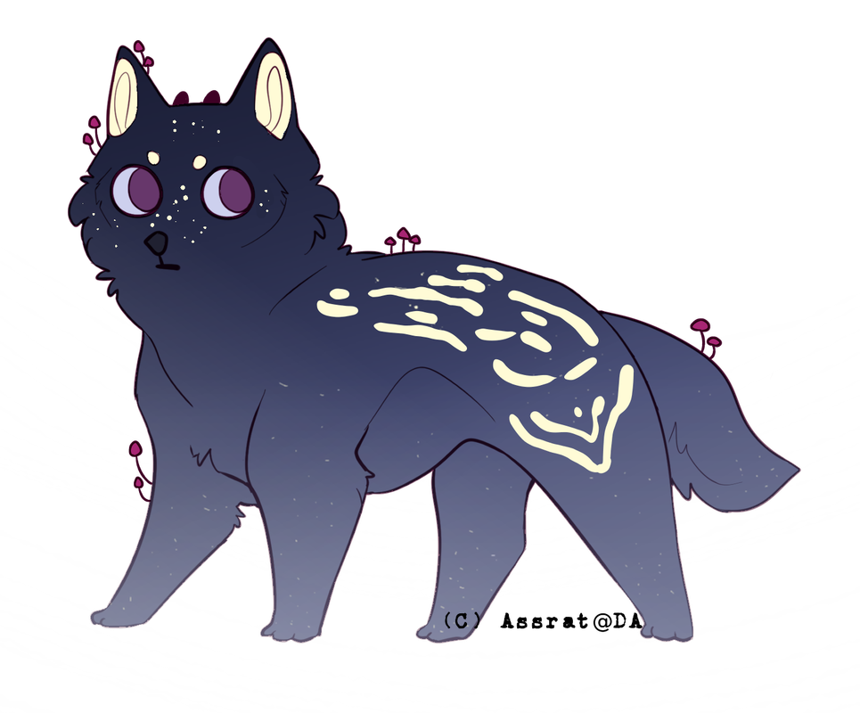 Starrry-pupper.png
