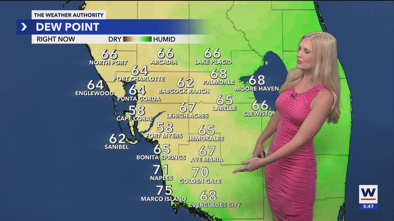 WINK News at 530pm_20241226_22302300.ts_snapshot_18.11.735
