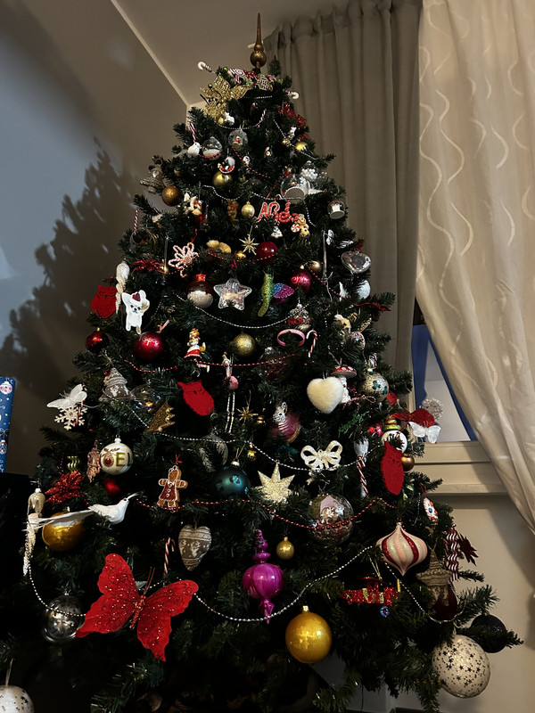 2608F70B-D97A-4BF3-9874-6AD8F5CA2EF6