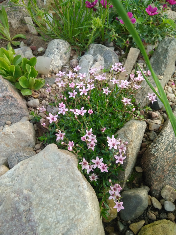IMG 20220605 081903