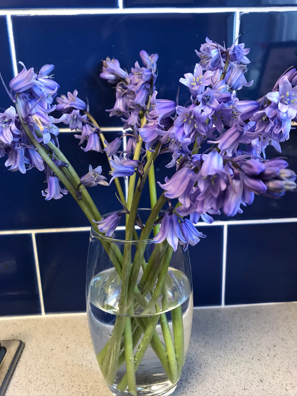 3E4DA8FA-6193-4852-AEDA-1938992EC114