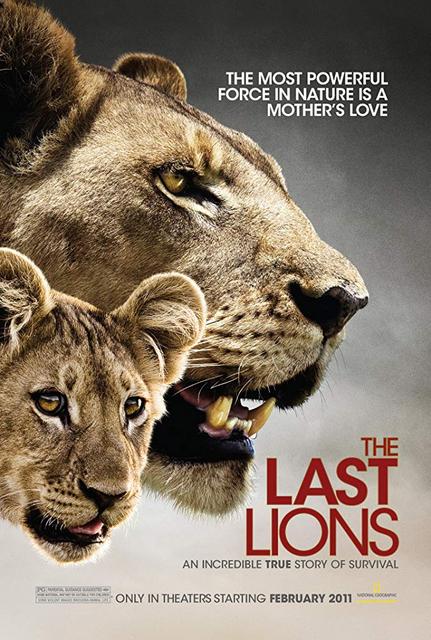 უკანასკნელი ლომები / ukanaskneli lomebi / The Last Lions