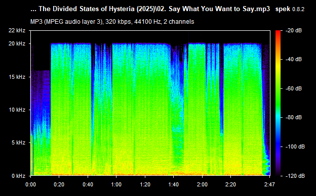 02. Say What You Want to Say.mp3