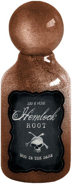 Autumn Witchery (15)