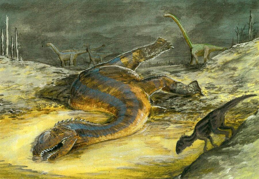 f5d4ca31bcb65d28f256a43ba66480f2