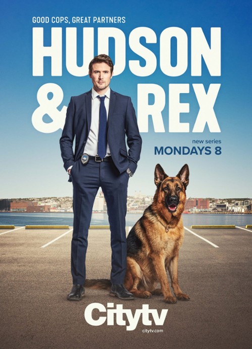 Hudson & Rex (2025) S07E01-E08 PL.1080p.AMZN.WEB-DL.DD2.0.H264-Ralf / Lektor PL / Finał