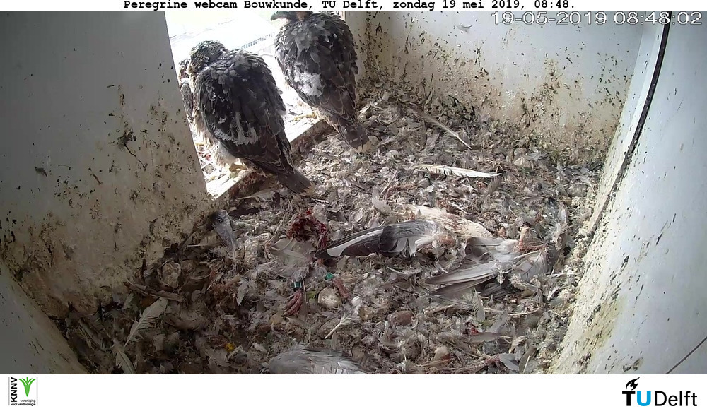 FC8E7A0B-4BEC-43D9-BA47-AEDDE2DA97DB