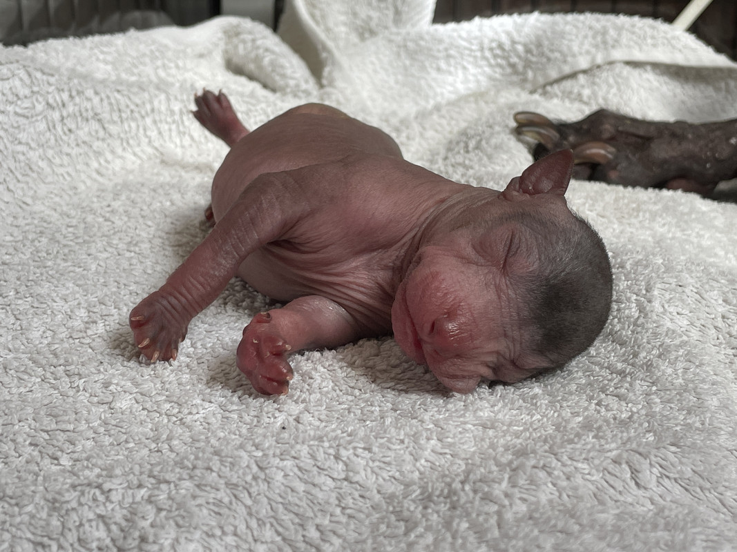 F47A47D4-AF04-4352-BD39-C448A53CDDEE