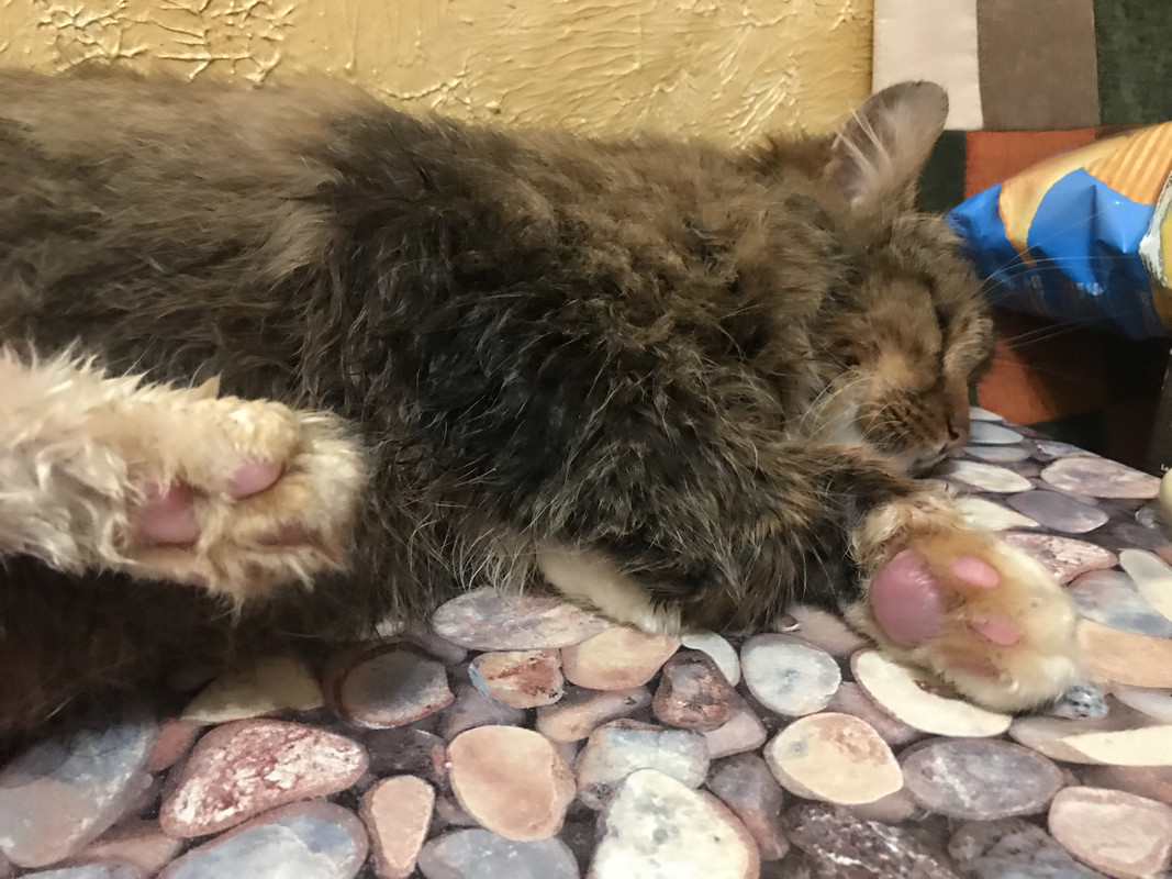 D3C4FECE-3075-473B-8D6B-284ABCF6C2C6