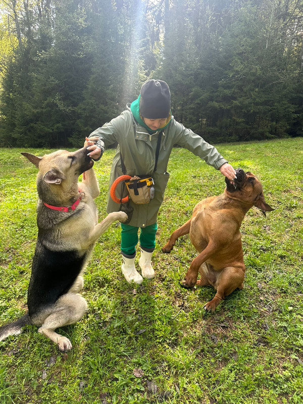 https://i.postimg.cc/MTfHvvm5/IMG-20240505-WA0041.jpg