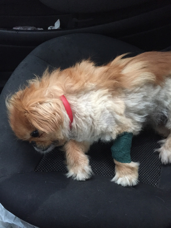 3AFD915C-21DA-4F45-BD50-8F0B35E7360C