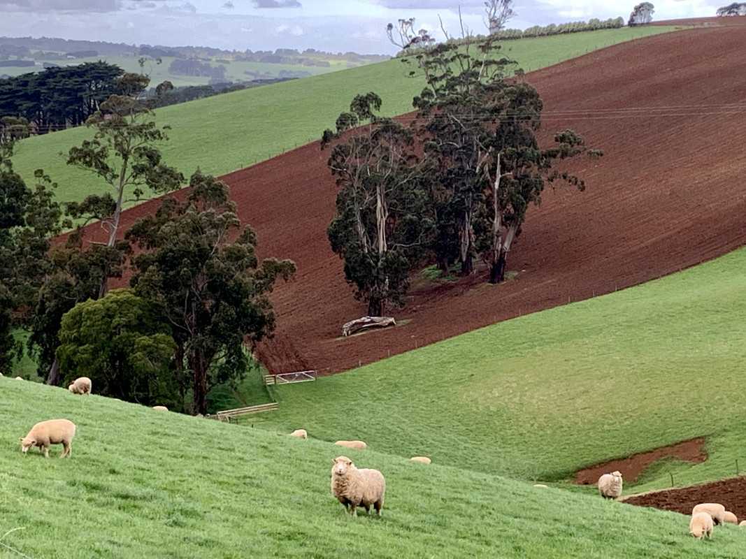 EFA65B21-13C2-4C58-8271-58B2D0CB22A2