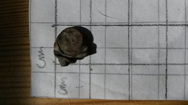 20150423_145112