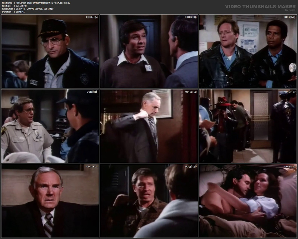 Hill Street Blues S04E09 Honk if You're a Goose.mkv